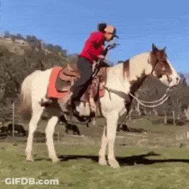 Person Riding Horse In Field GIF