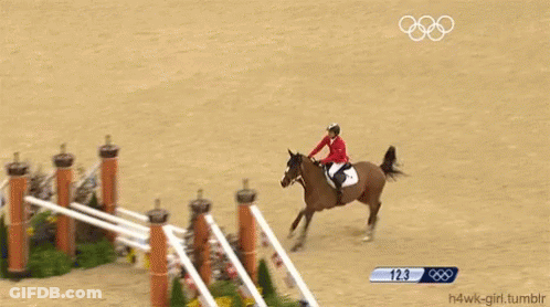 Person Riding Horse Number 135 GIF