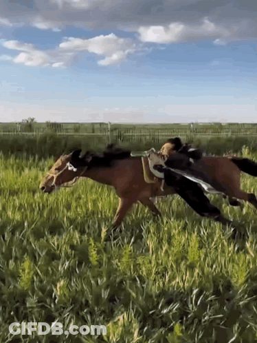 Person Riding Horse With Saddle GIF