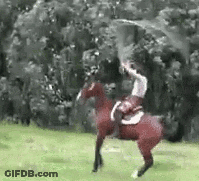 Person Riding Horse With Sword GIF