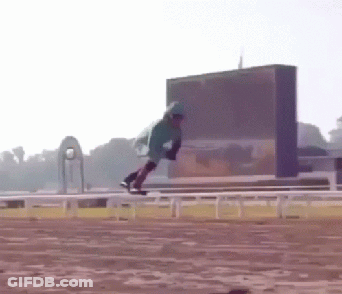 Person Riding Horse With Umbrella GIF
