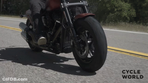 Person Riding Motorcycle Cycle World GIF