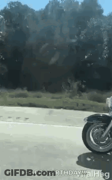Person Riding Motorcycle Down Road GIF