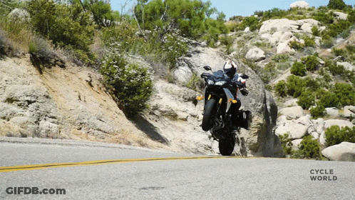 Person Riding Motorcycle Saying Cycle World GIF