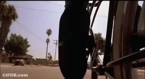 Person Riding Motorcycle With Palm Tree GIF