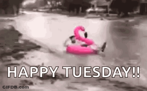 Person Riding Pink Flamingo Float In River GIF