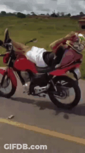 Person Riding Red Motorcycle On Road GIF