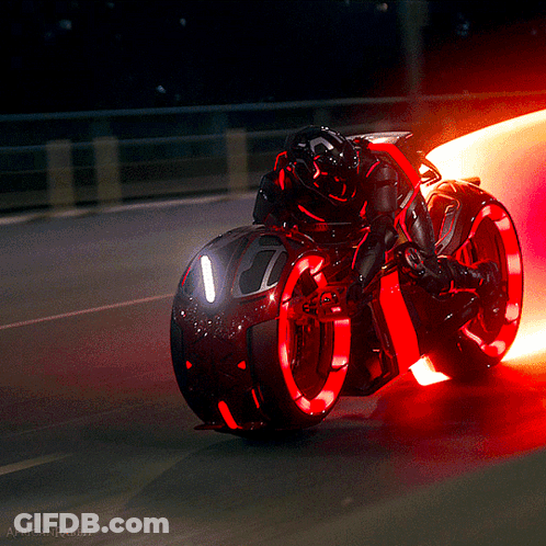 Person Riding Red Motorcycle With Africanrabbit GIF
