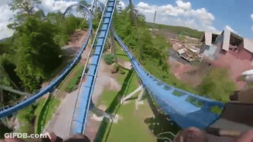 Person Riding Roller Coaster GIF
