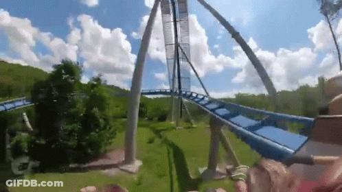 Person Riding Roller Coaster In Park GIF