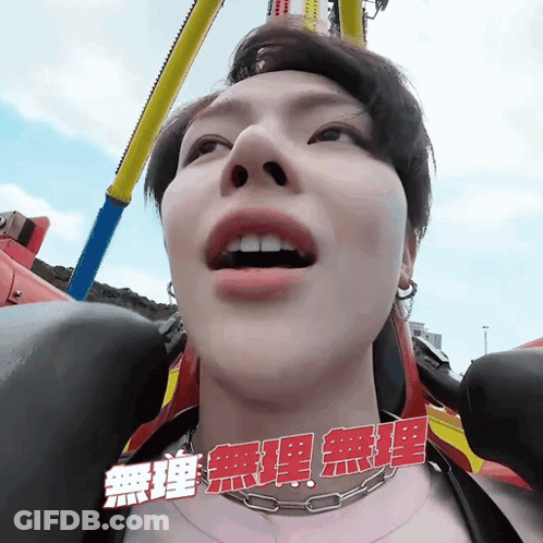 Person Riding Roller Coaster With Chinese Writing GIF