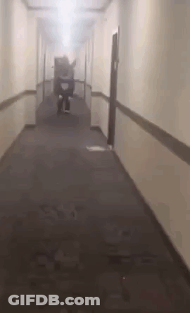 Person Riding Scooter In Hotel Hallway GIF