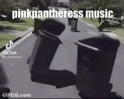 Person Riding Scooter Next To Trash Can Saying Pinkpanthers Music GIF