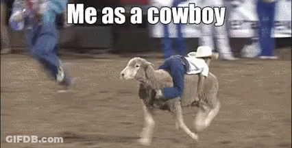 Person Riding Sheep On Dirt Field GIF