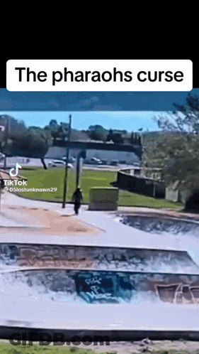 Person Riding Skateboard Down Ramp Pharaohs Curse GIF