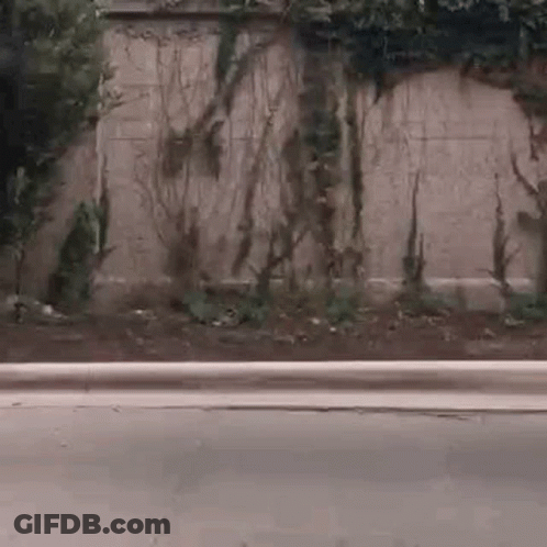 Person Riding Skateboard Down Street GIF