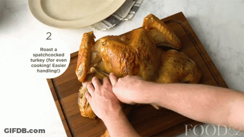Person Roasting Spatchcocked Turkey GIF