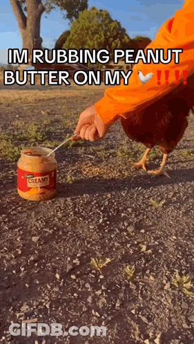 Person Rubbing Peanut Butter On Chicken Feathers GIF