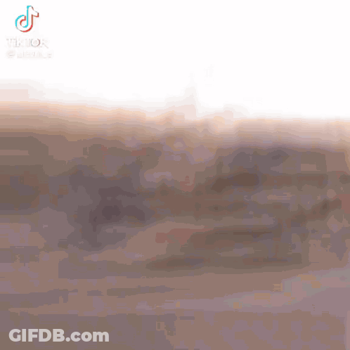 Person Running Across Street Blurry Photo GIF