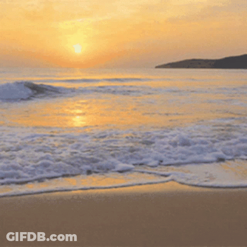 Person Running On Beach With Arms Outstretched GIF