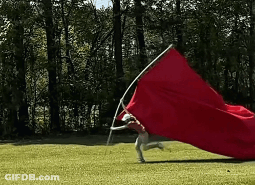 Person Running With Red Flag On Pole GIF