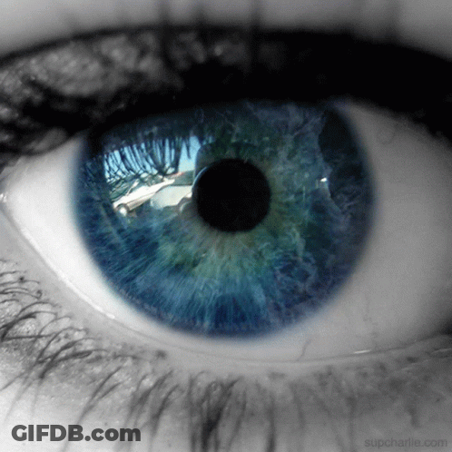 Person's Eye Close Up Supcharlie.com GIF