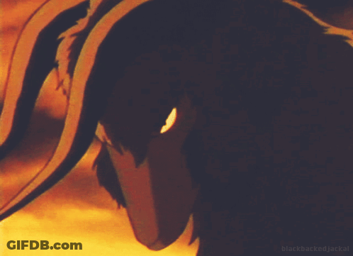 Person's Face Close Up With Blackbacked Jackal GIF