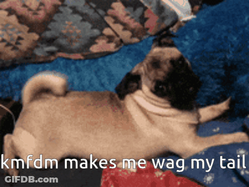 Person's Face With Hand On Forehead GIF