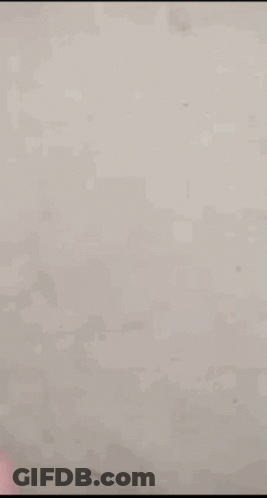 Person's Hand Giving Thumbs Up GIF