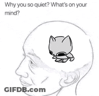 Person's Head With Cat Inside GIF