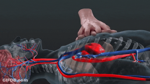 Person's Heart GIF