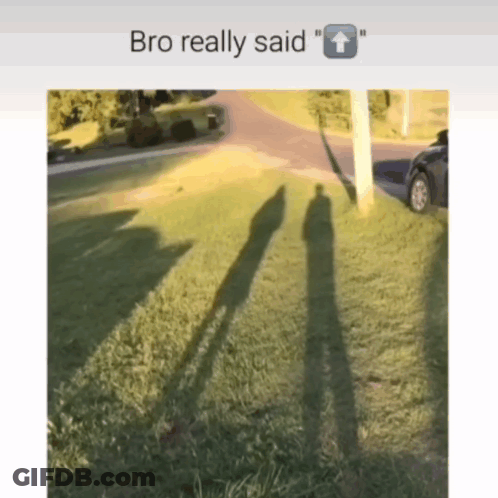 Person's Shadow On Grass Bro Really Said GIF