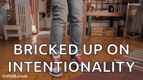 Person Saying Bricked Up On Intentionality GIF