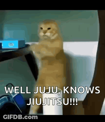 Person Saying Fu When No Kayden GIF