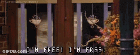 Person Saying Im Free GIF