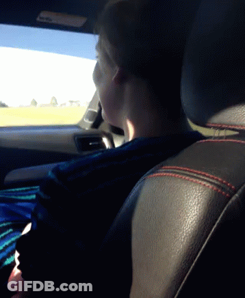 Person Sitting In Back Seat Of Car GIF