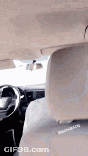Person Sitting In Car Back Seat GIF