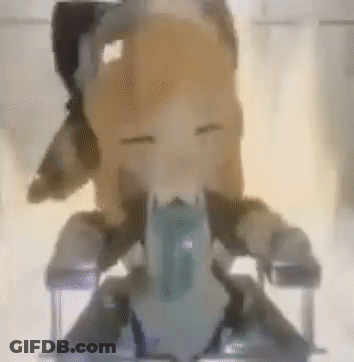 Person Sitting On Chair With Dog Behind GIF