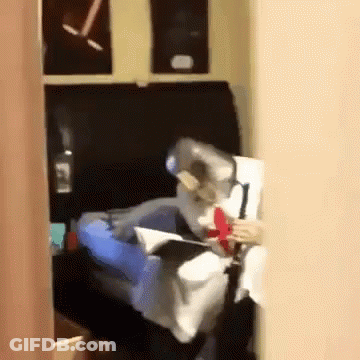 Person Sitting On Couch Reading Book GIF