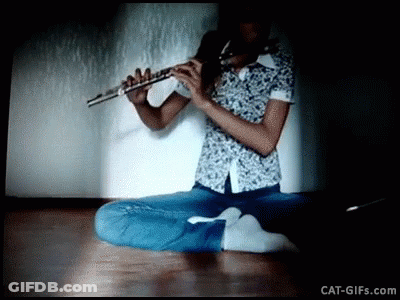 Person Sitting On Floor Playing Flute Cat-Gifs.com GIF