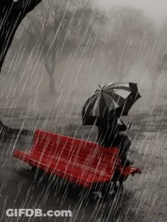 Person Sitting On Red Bench In Rain Holding Umbrella GIF