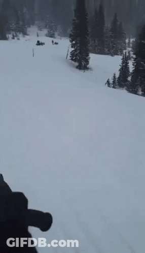 Person Skiing Down Snowy Mountain GIF