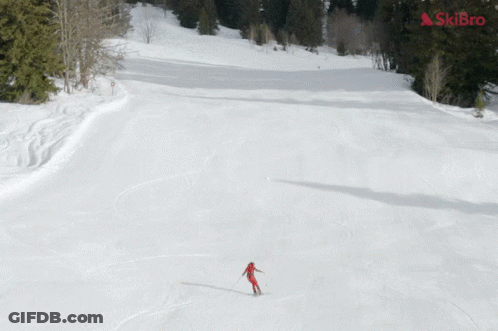 Person Skiing With Skibro GIF