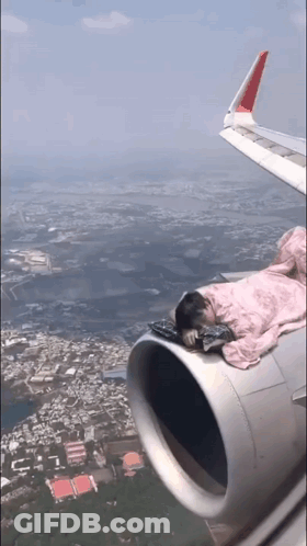 Person Sleeping On Airplane Wing GIF