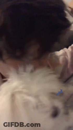 Person Sleeping On Bed With ZZZ GIF