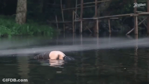 Person Splashing Water Wow Wow GIF