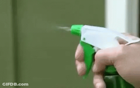 Person Spraying Green Wall GIF