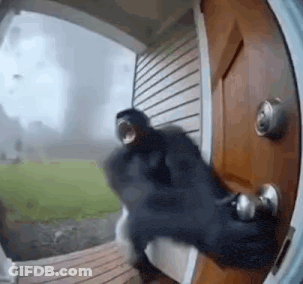 Person Standing At Door With Storm GIF
