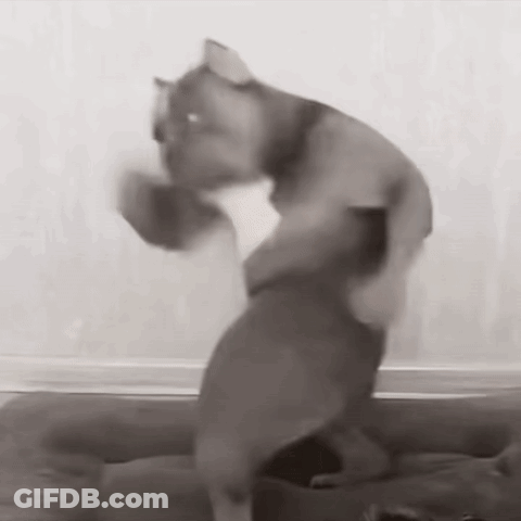Person Standing At Microphone Saying Vka 4An By Dagestan GIF
