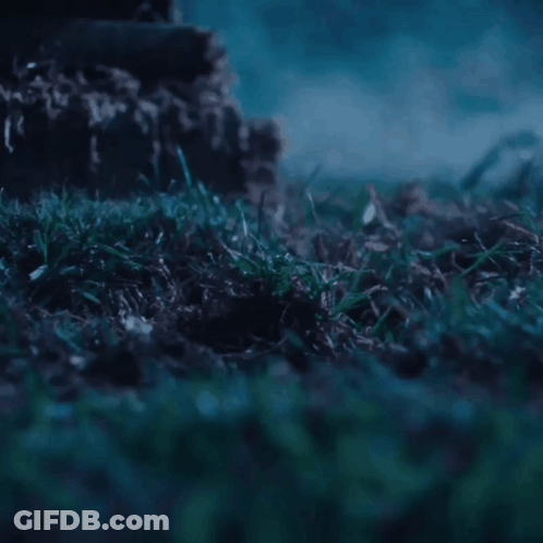 Person Standing In Dark Grass With Smoke From Feet GIF